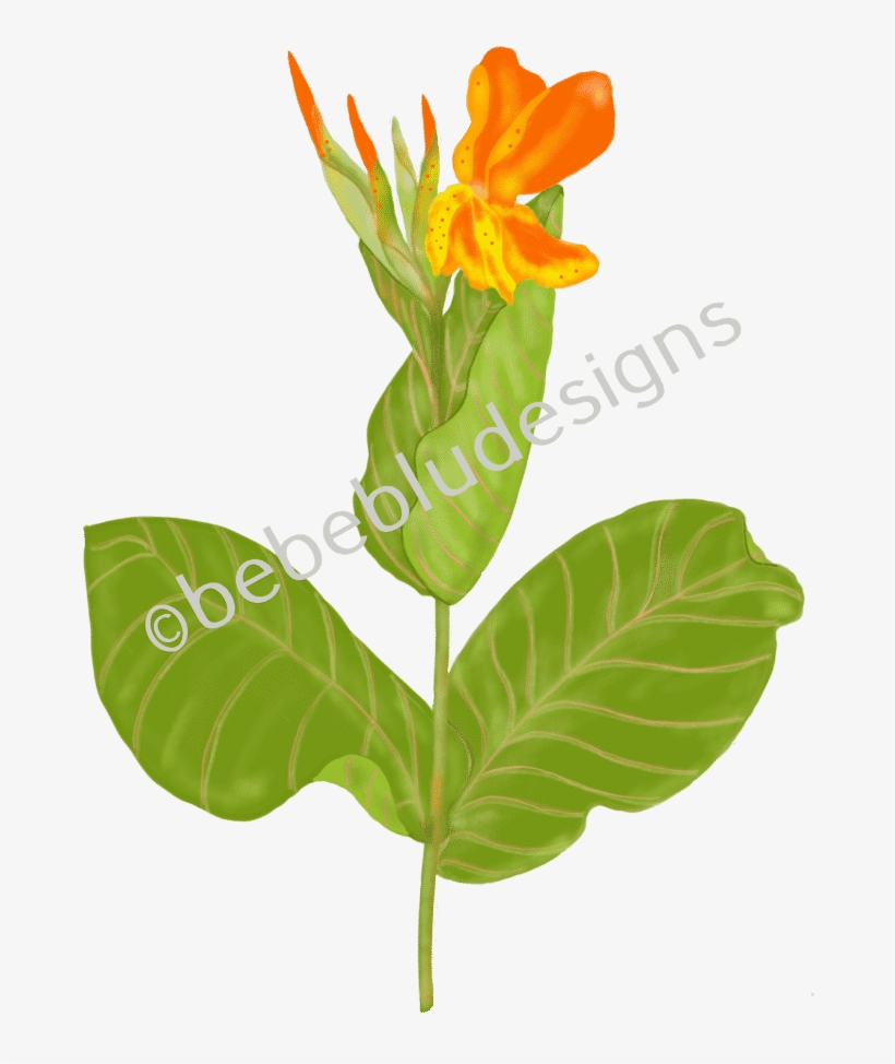 Tropicanna Gold Bud - Gold, transparent png