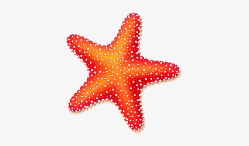 Starfish Clipart Best Clip Art 383x400 Png Download Pngkit
