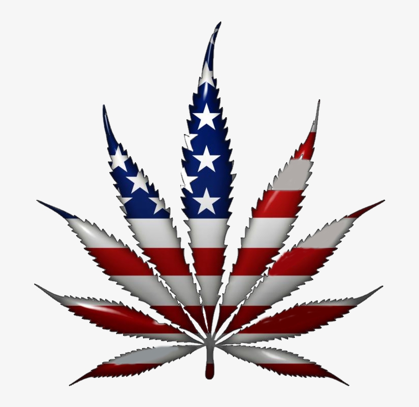 Weed - Im A Patient Not A Criminal, transparent png