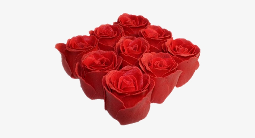 More Bath Petals - K-ancient Bath Roses - 9 Roses In Gift Box (rose), transparent png