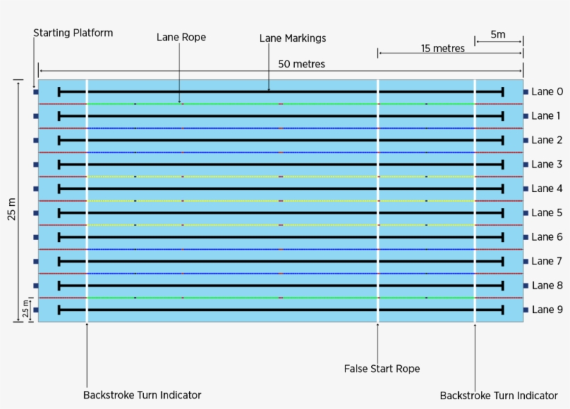 Swimming - - Court Dimension Of Swimming, transparent png