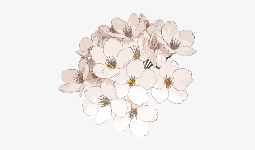 Tumblr Ship Transparent - Express Shipping For Jasmine, transparent png
