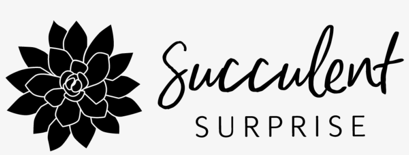 Beautiful Succulents - Ceramic, transparent png