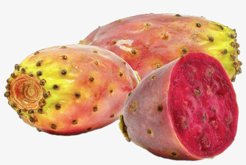 Download - Prickly Pear Cactus Morocco, transparent png