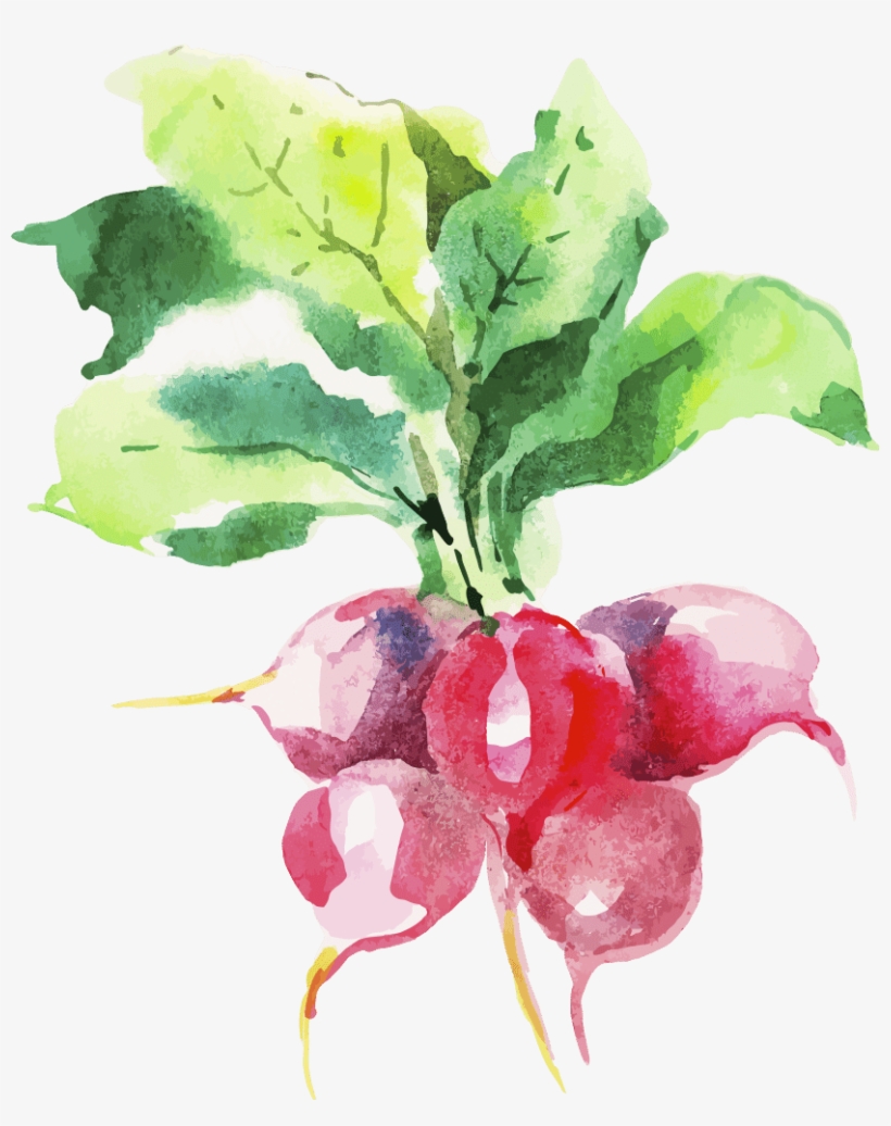 Dig In - Watercolor Painting, transparent png