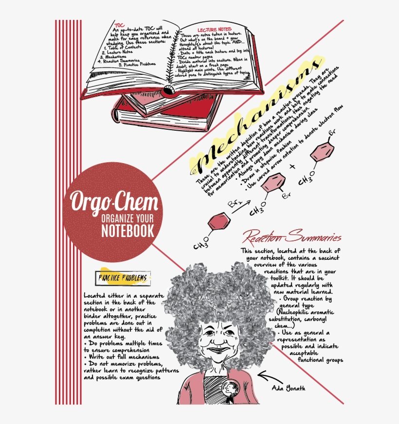 Orgo Notebook Png - New York City, transparent png