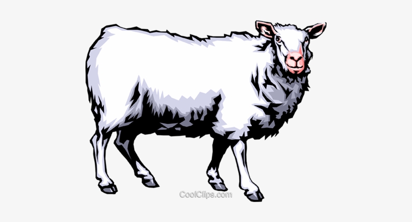 Sheep - Scarecrow's Hat Main Characters, transparent png
