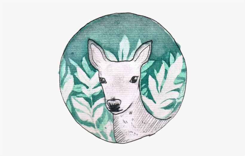 New Deer - Deer Png, transparent png