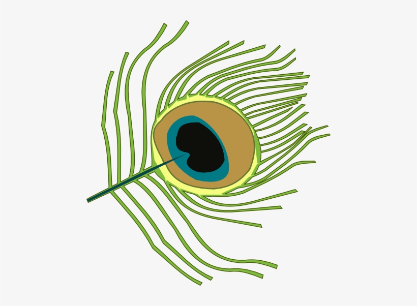 Krishna Clipart Peacock Feather - Peacock Feather Clip Art, transparent png