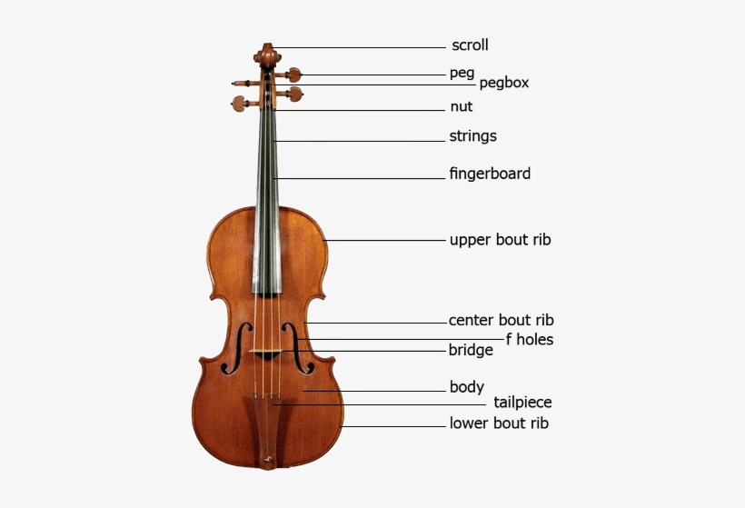 Violin Parts - Violin Parts In English, transparent png