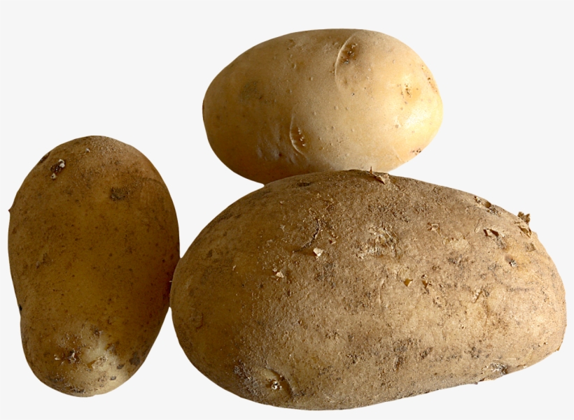 Fresh Potato Png Image - Portable Network Graphics, transparent png