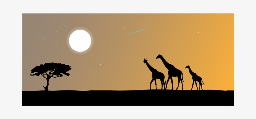 Giraffe Animal The Silhouette Safari Afric - Safari, transparent png