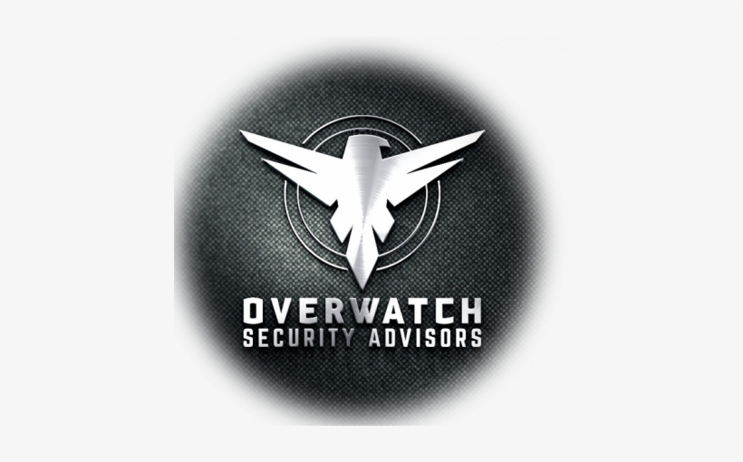 The Overwatch Eagle - Boeing 787 Dreamliner, transparent png