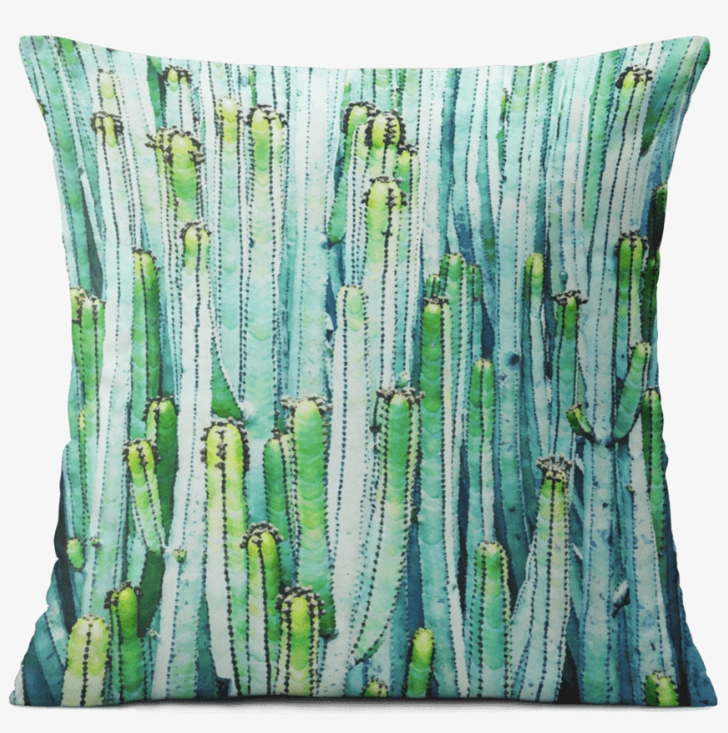 Dailyobjects Watercolor Cactus 12" Cushion Cover Buy - Watercolor Painting, transparent png