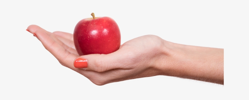 Breaker - Apple Fruit In Hand, transparent png