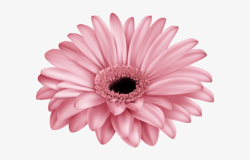 Clip Transparent Yellow Png By Thy Darkest Hour On - Clip Art, transparent png