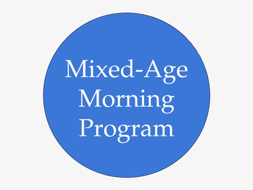 Spotify-checkmark - Circle, transparent png