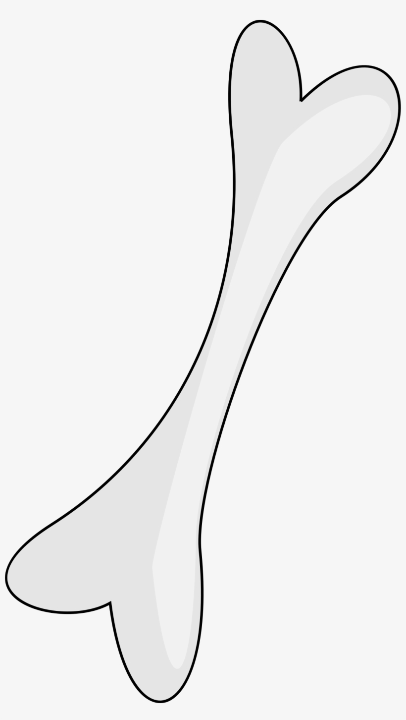 Bone - Bones Png, transparent png