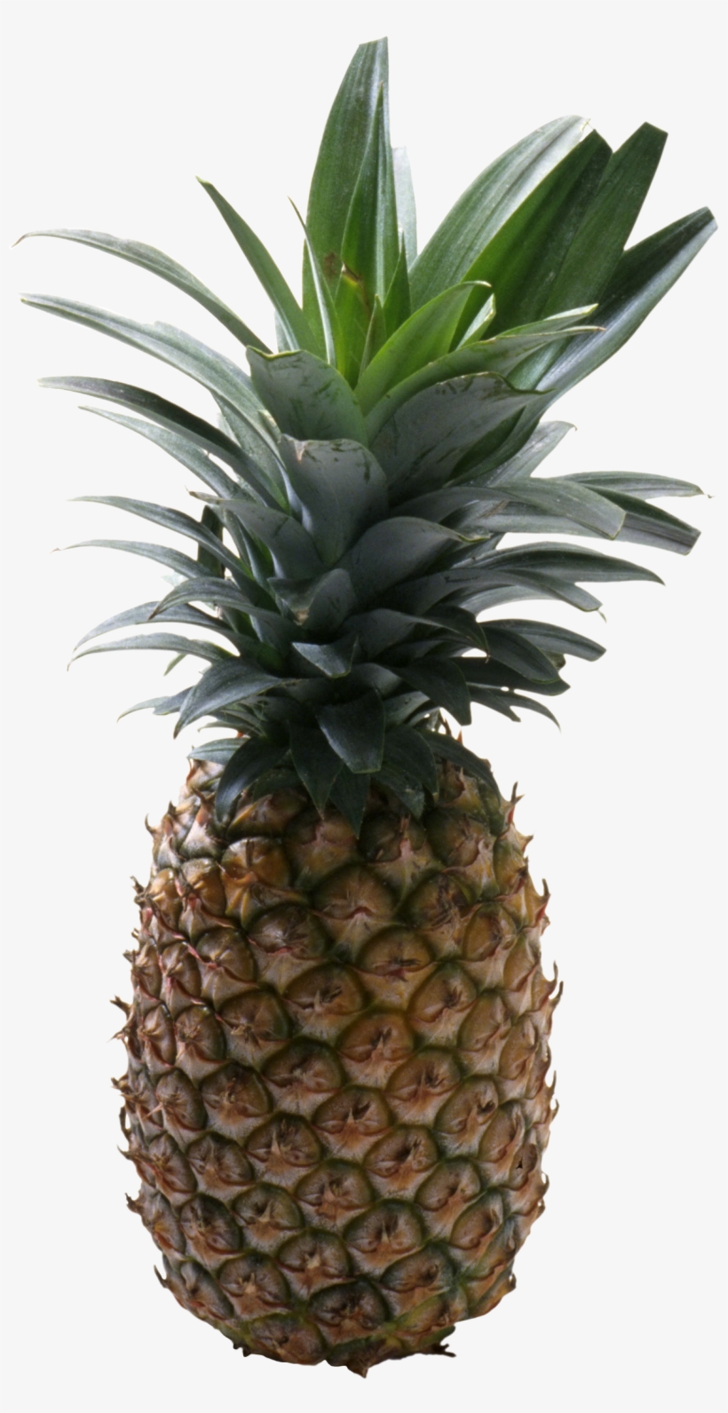 Pineapple Without Background, transparent png