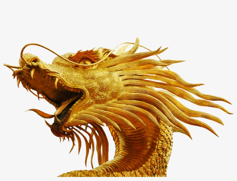 Dragon Skeleton - Dragon Head No Background, transparent png