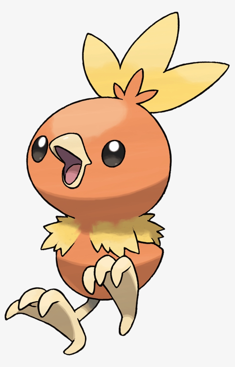 The Great Thing About Torchic Is That It's A Combination - Pokemon #255, transparent png