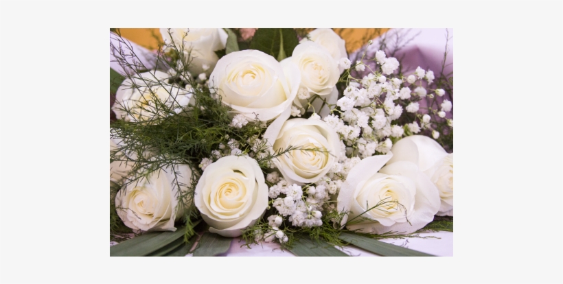 Garden Roses, transparent png