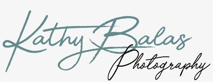 Kathy Balas Photography Llc - Photography, transparent png