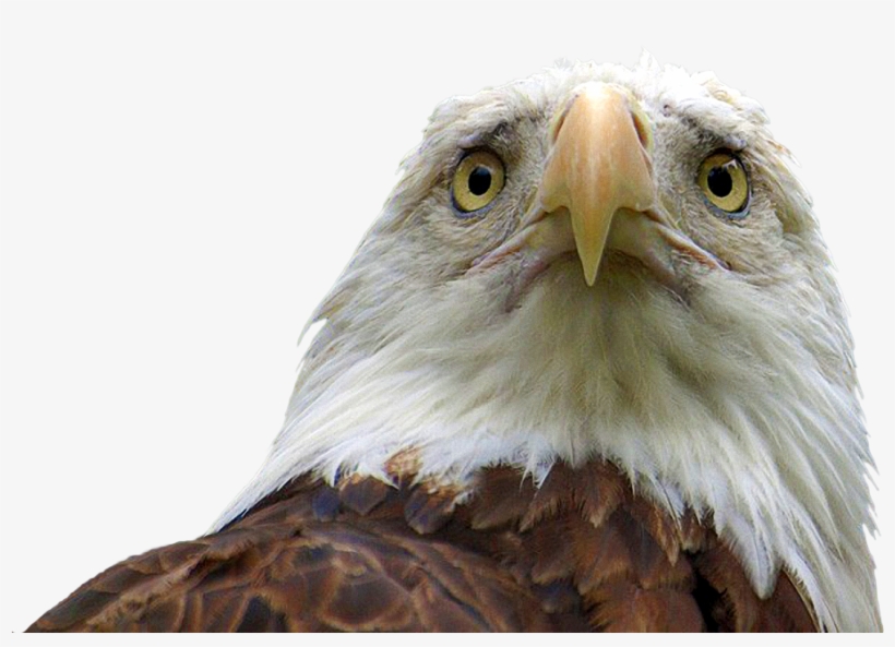 Keanu Reeves Sad Cutout - Rest In Peace America, transparent png