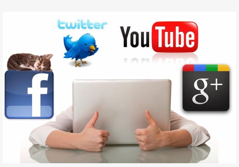 Kd54 Cool Social Media, Wall - Twitter, transparent png