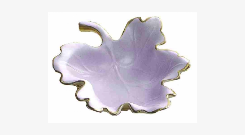 Fig Leaf, transparent png
