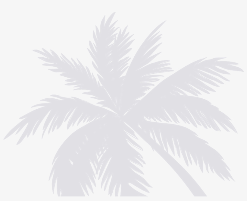 Outdoor Display - Sissylittle Palms Wall Decal, transparent png