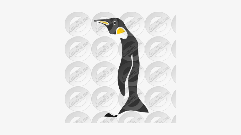 29 Best Penguins Images - Penguin, transparent png