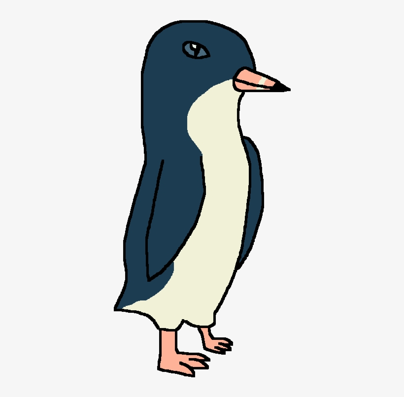 Little Blue Penguin - Wiki, transparent png
