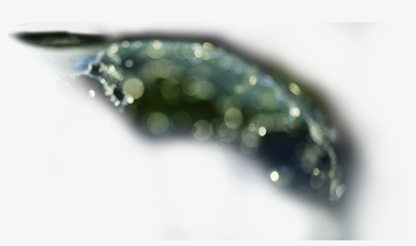 Z Wave Leak Sensor - Macro Photography, transparent png