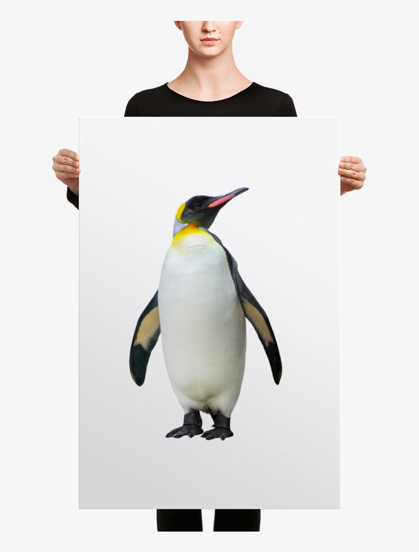 Emperor-penguin Canvas - Black Mask Red Pied French Bulldog Canvas, transparent png