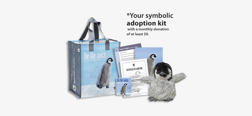 Penguin Adoption Kit - Gift, transparent png