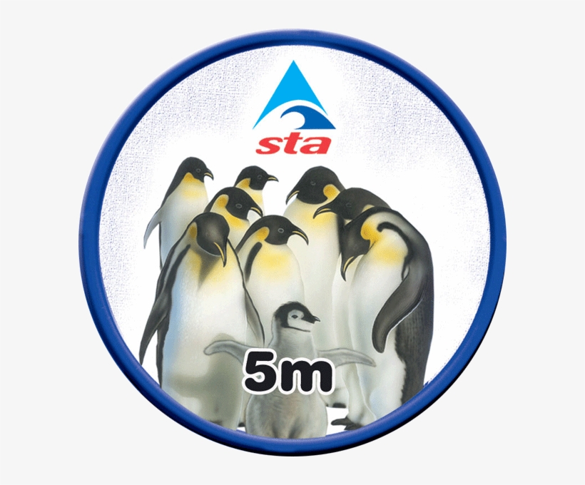 Emperor - King Penguin, transparent png