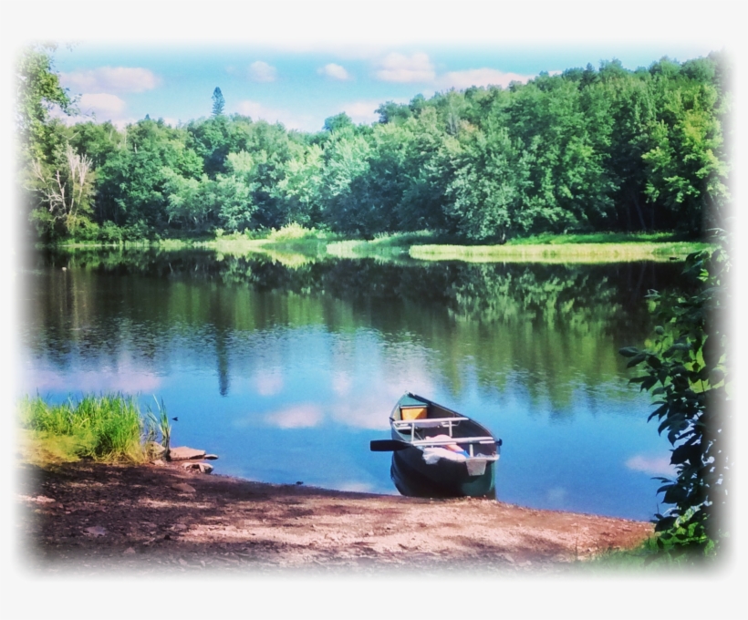 Close To Cross Country And Snowmobile Trails • There - Reflection, transparent png