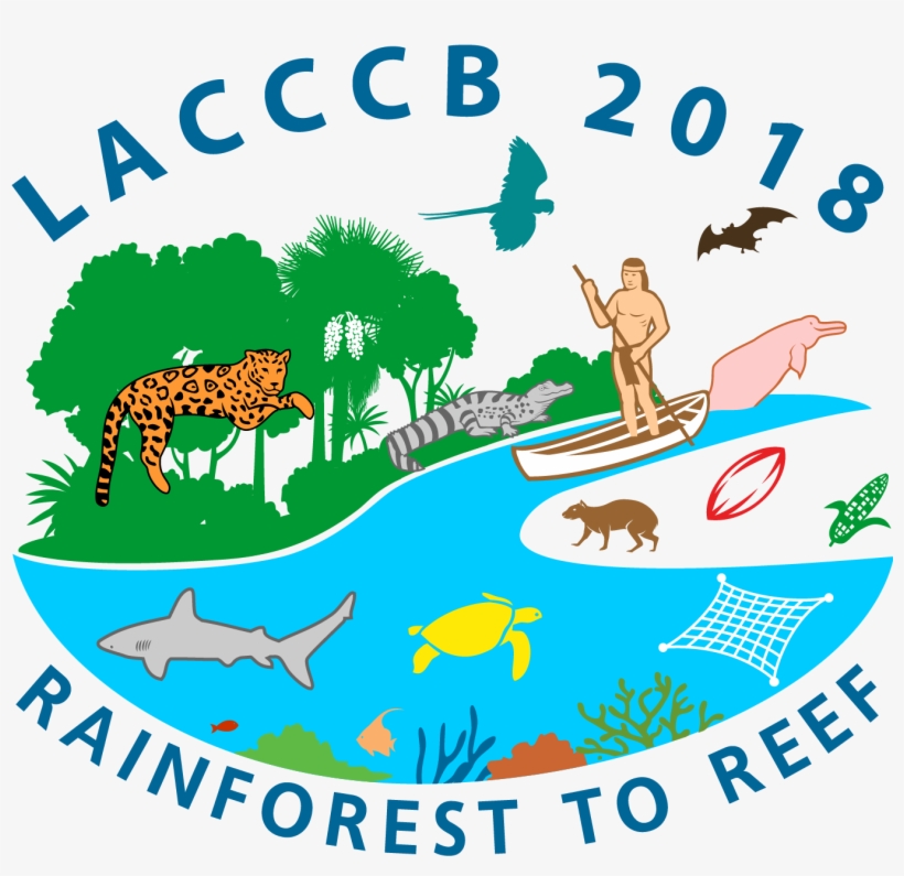 Section Update - Laca - Lacccb2018, transparent png