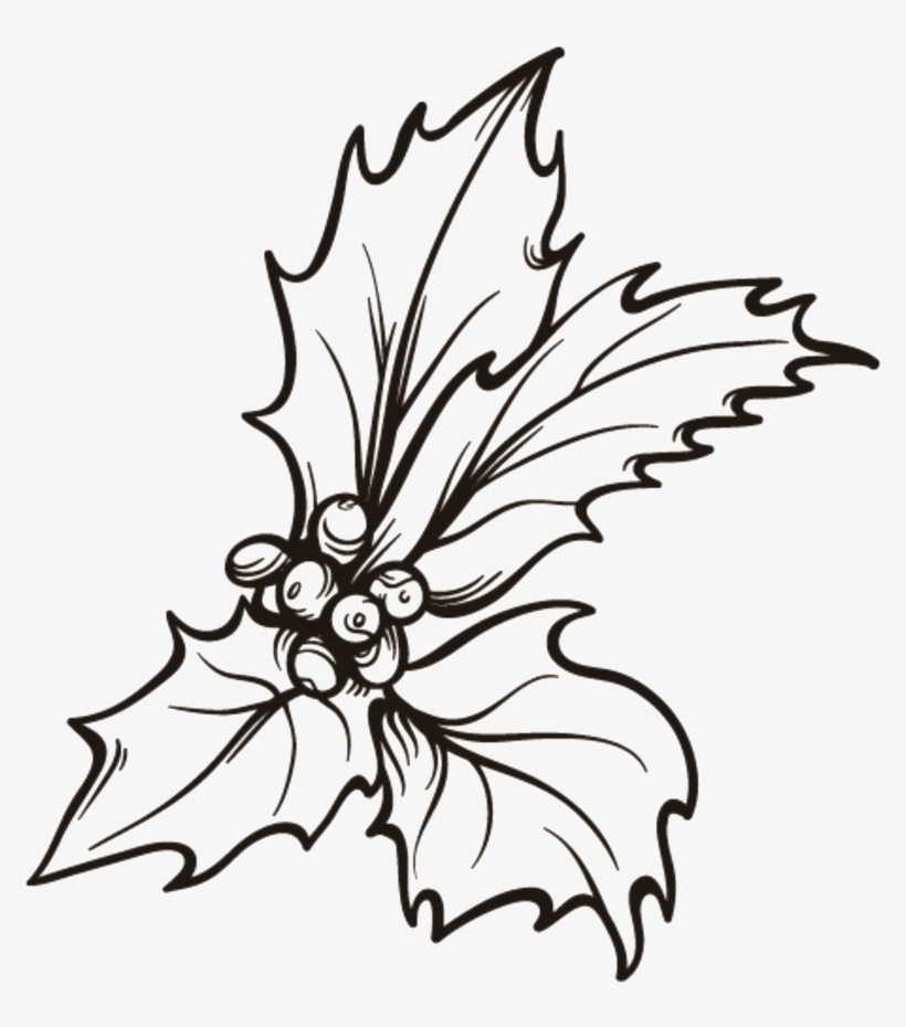 Christmas Flower Png Transparent - Portable Network Graphics, transparent png