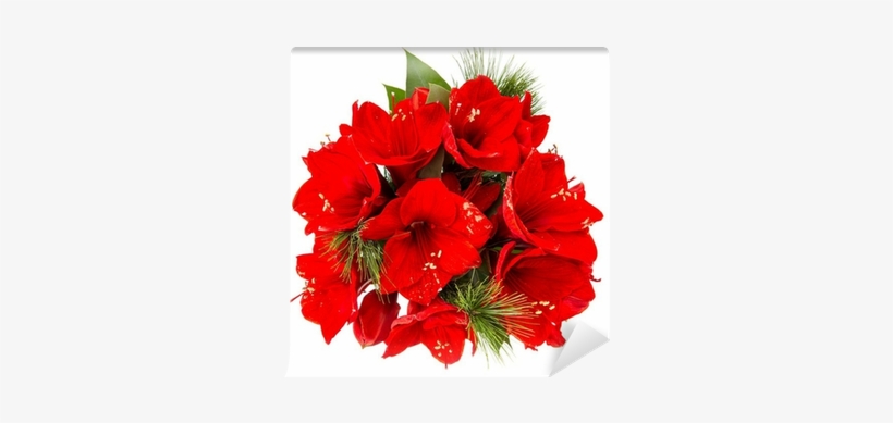 Bouquet Of Amaryllis - Flower Image Without A Background, transparent png
