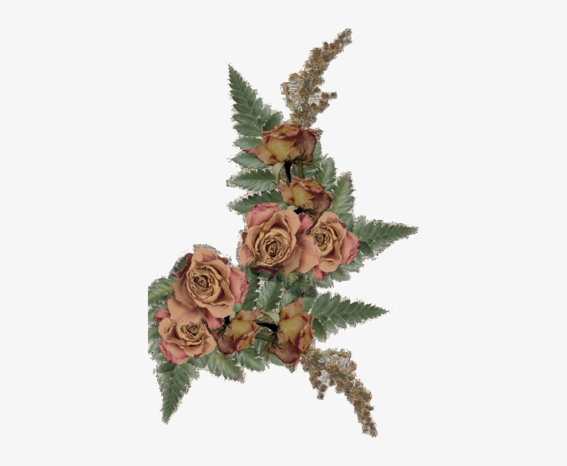 Christmas Menus - Garden Roses, transparent png