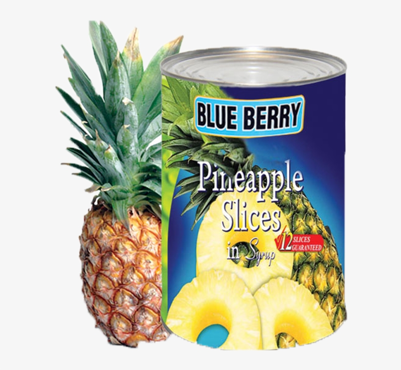 Pineapple Slice - Ideal Home Range 16 Count Boston International 3-ply, transparent png
