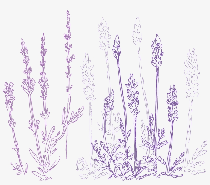 Illustration, transparent png
