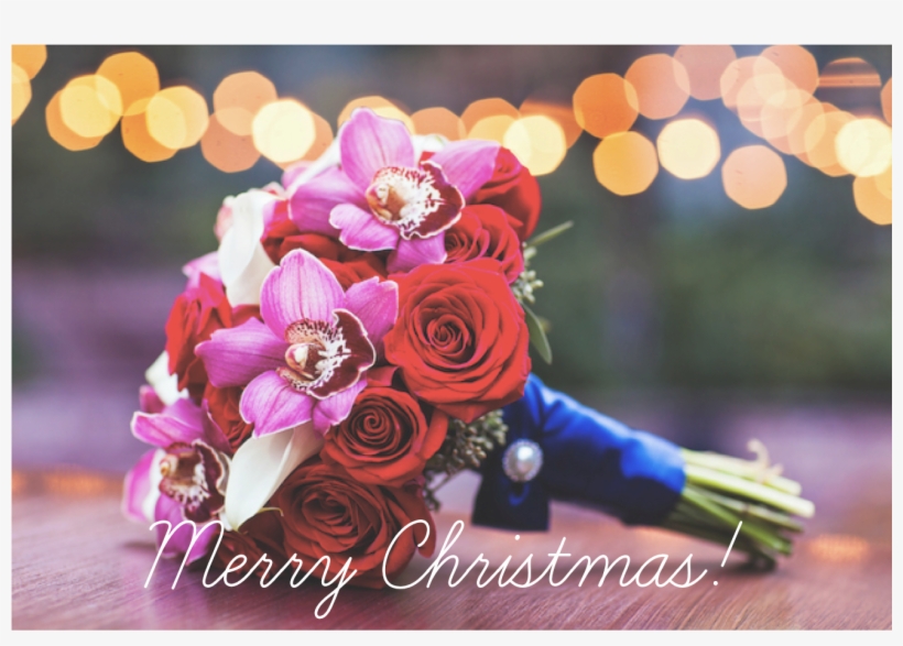 Merry Christmas - Floribunda, transparent png