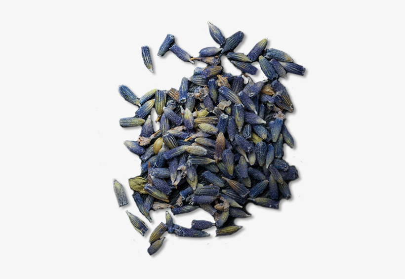Lavender - Sunflower Seed, transparent png