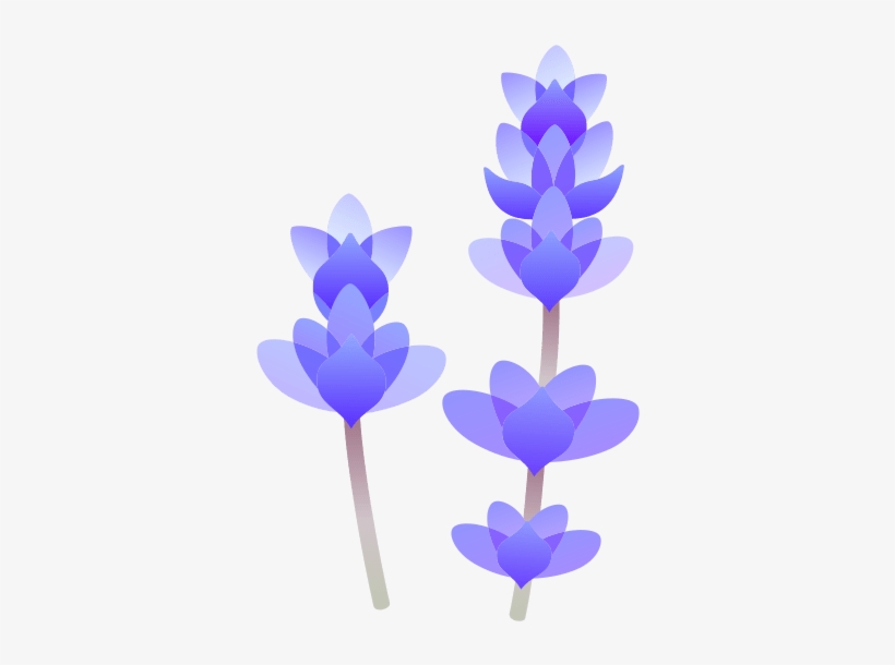 Lavender - Aromatherapy, transparent png
