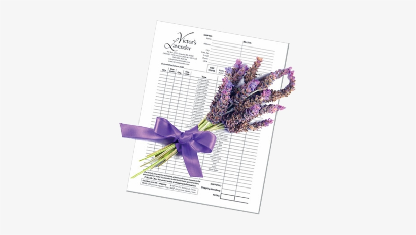 Victor's Lavender Order Form - Planilha De Orçamento Familiar, transparent png