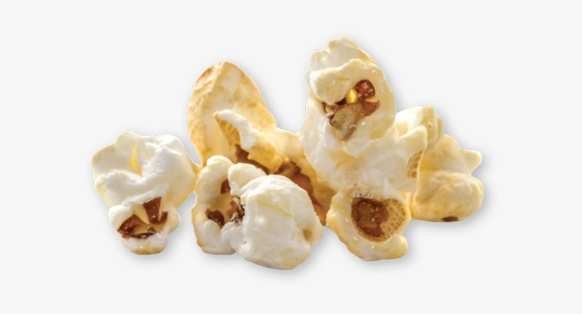 Intro - Palomita De Maiz Png, transparent png