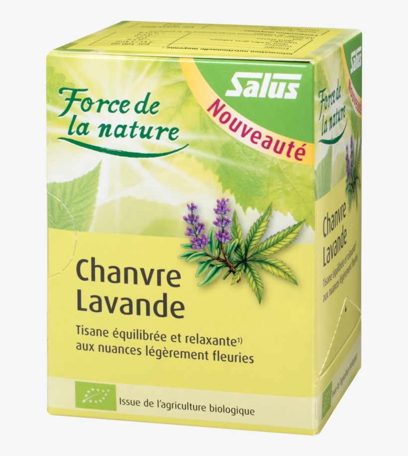 Salus, transparent png